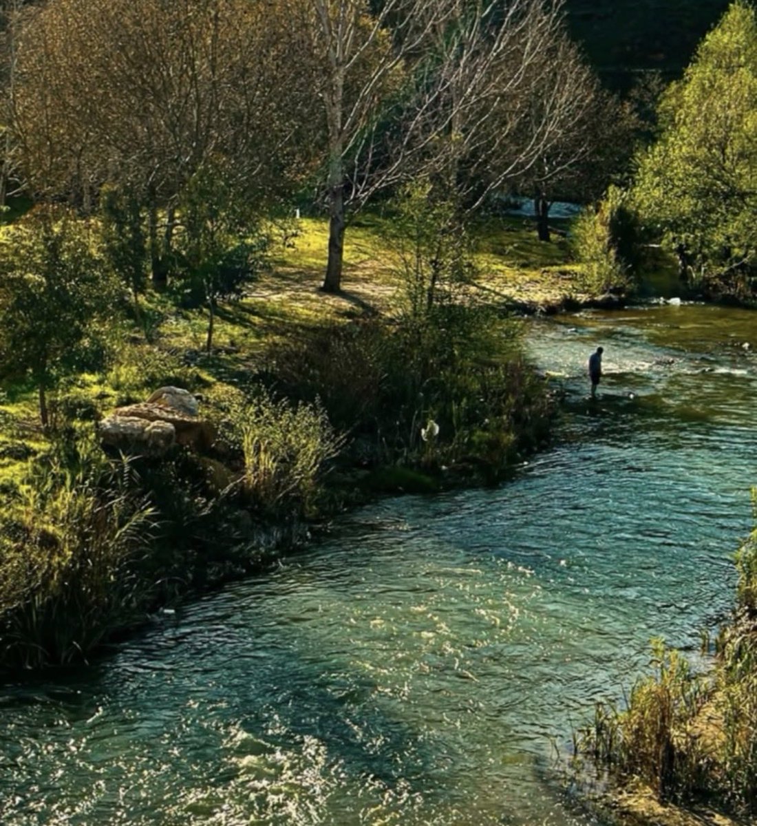 Mohamad Fawaz tweet media