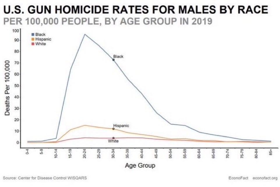 Ilkhan Subutai tweet media