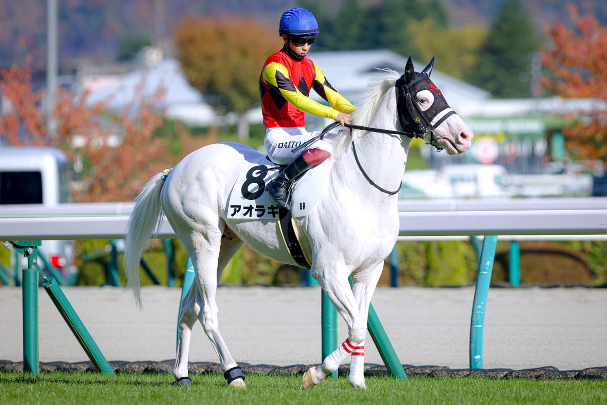 PSPS-KIZUNA tweet media