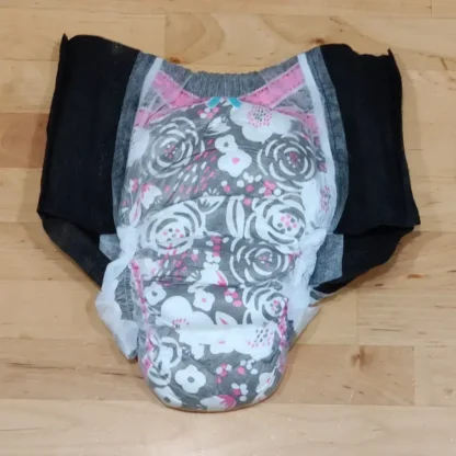 HumbleVisions tweet media