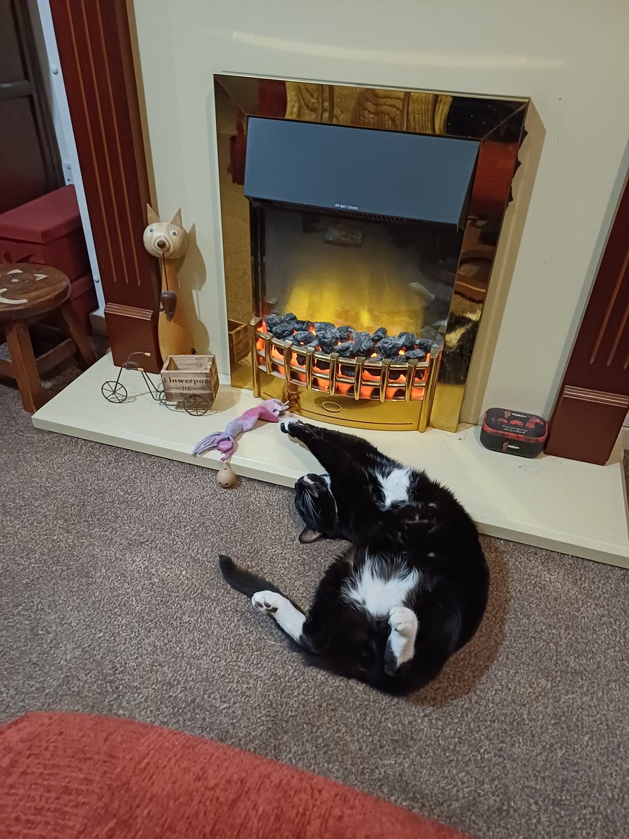 Happy Birthday Harry 
11 years old today.