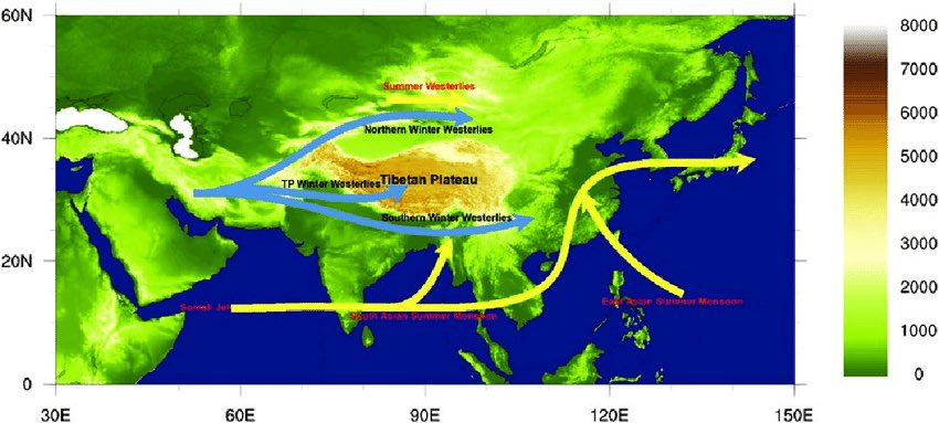 Thomas Reis tweet media