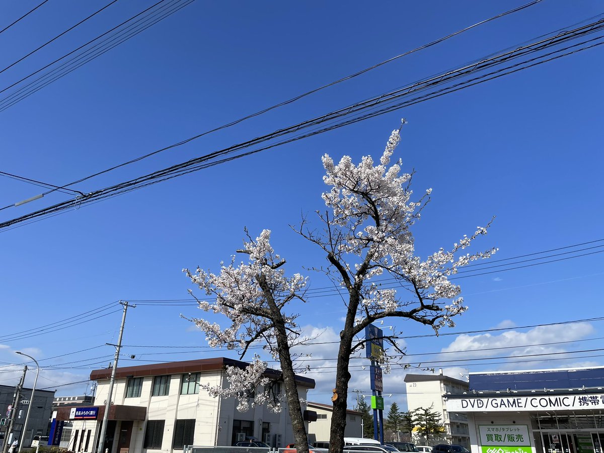 麺 晴天 tweet media