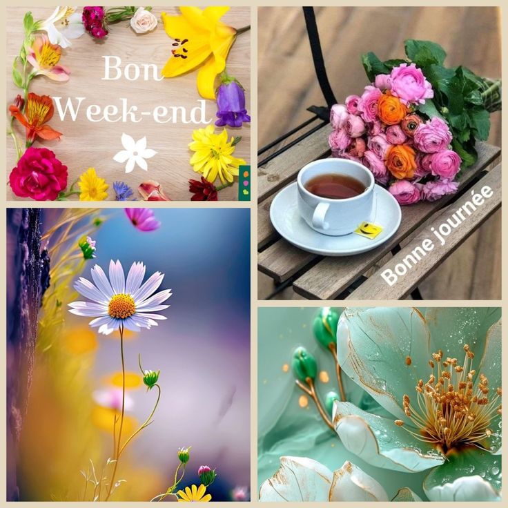JosetteJ1's tweet image. Agréable samedi à tous mes abonnés 😘 
Courage les travailleurs.
Le café/thé est servi pour les "lève-tard" 😃
☕☕☕🍵☕☕☕
 le week-end est bienvenu pour profiter de la nature👍
Météo 8° maxi 15°🌤
#Avril #Printemps 
#Ligue_des_optimistes
