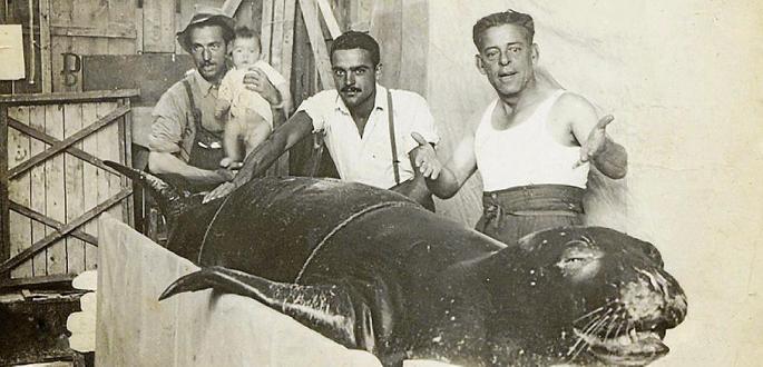 Luis_M.Señor tweet media