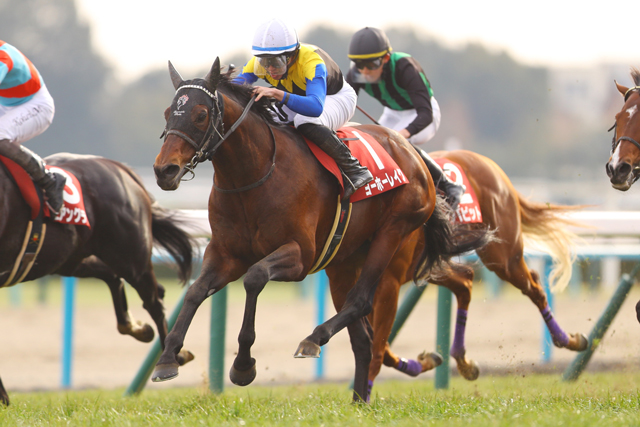 JRA-VAN公式 tweet media