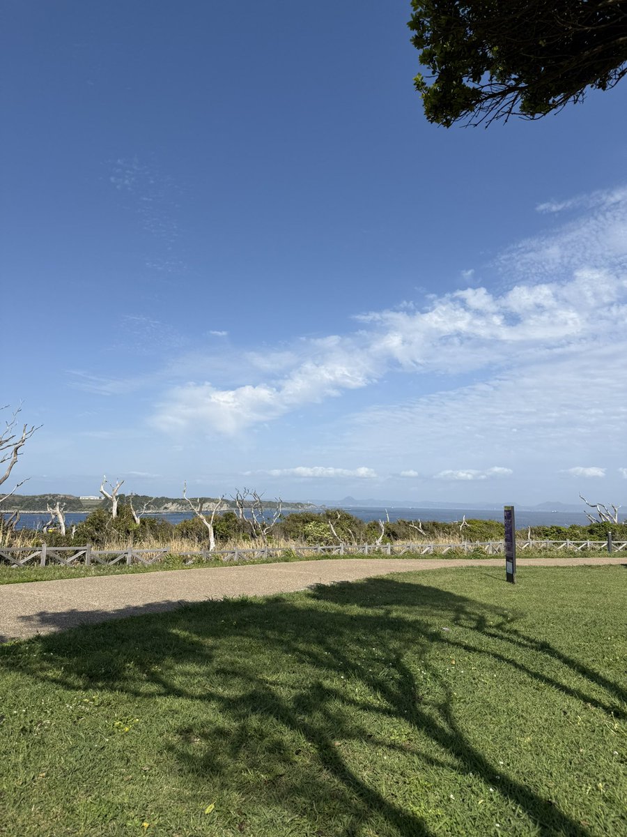 semi_kuloan's tweet image. go out and touch grass #traders