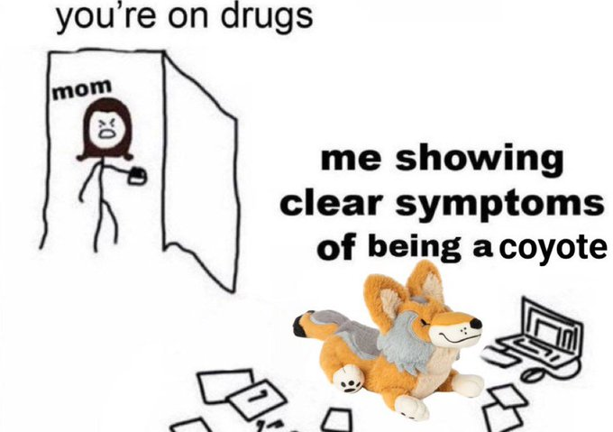 im so coyote