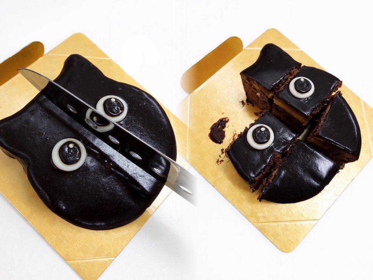 こむぎ tweet media