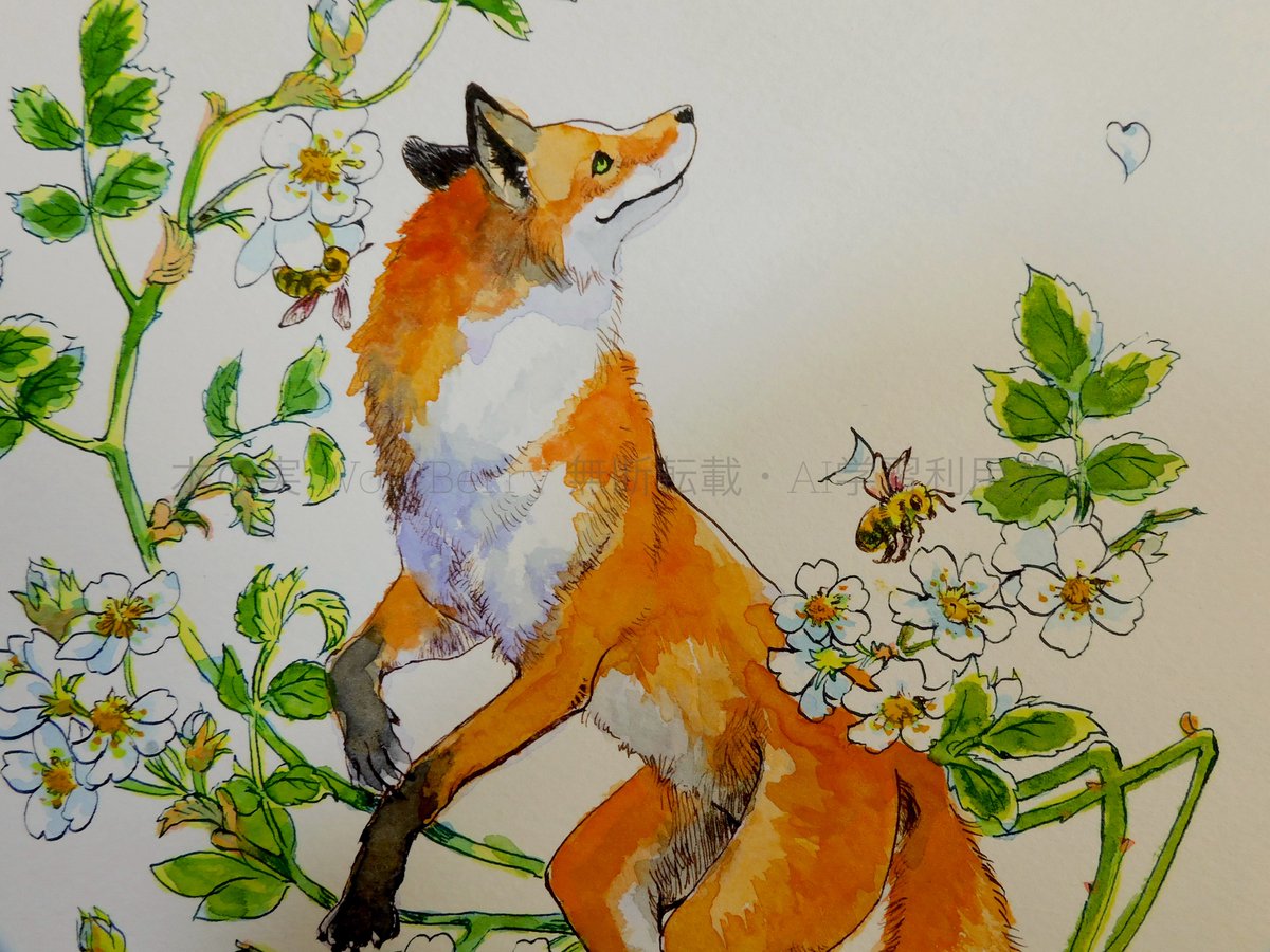 木の実 Wolf Berry tweet media