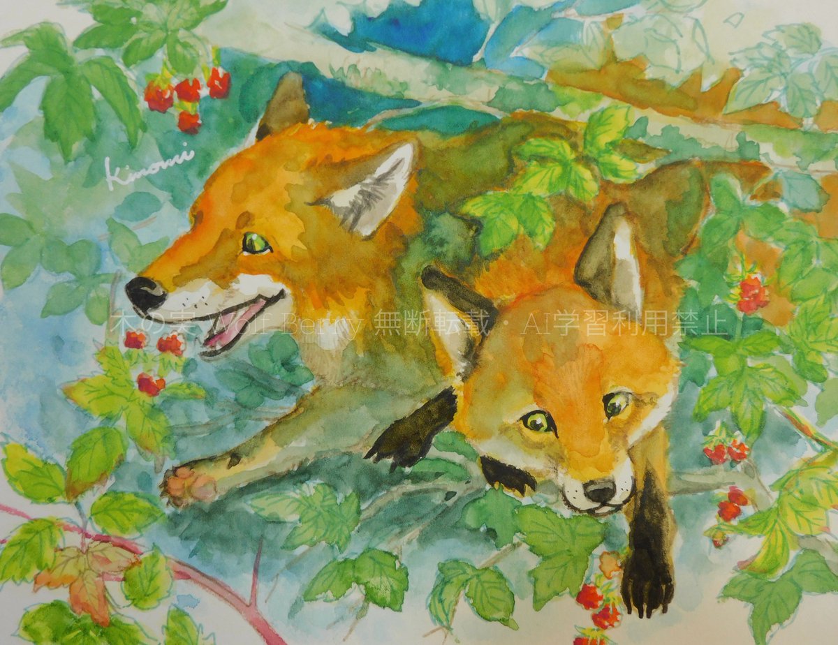 木の実 Wolf Berry tweet media