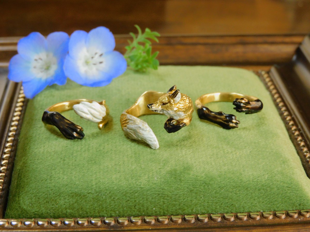 木の実 Wolf Berry tweet media