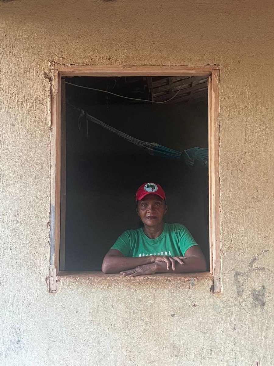 reporteros tweet media