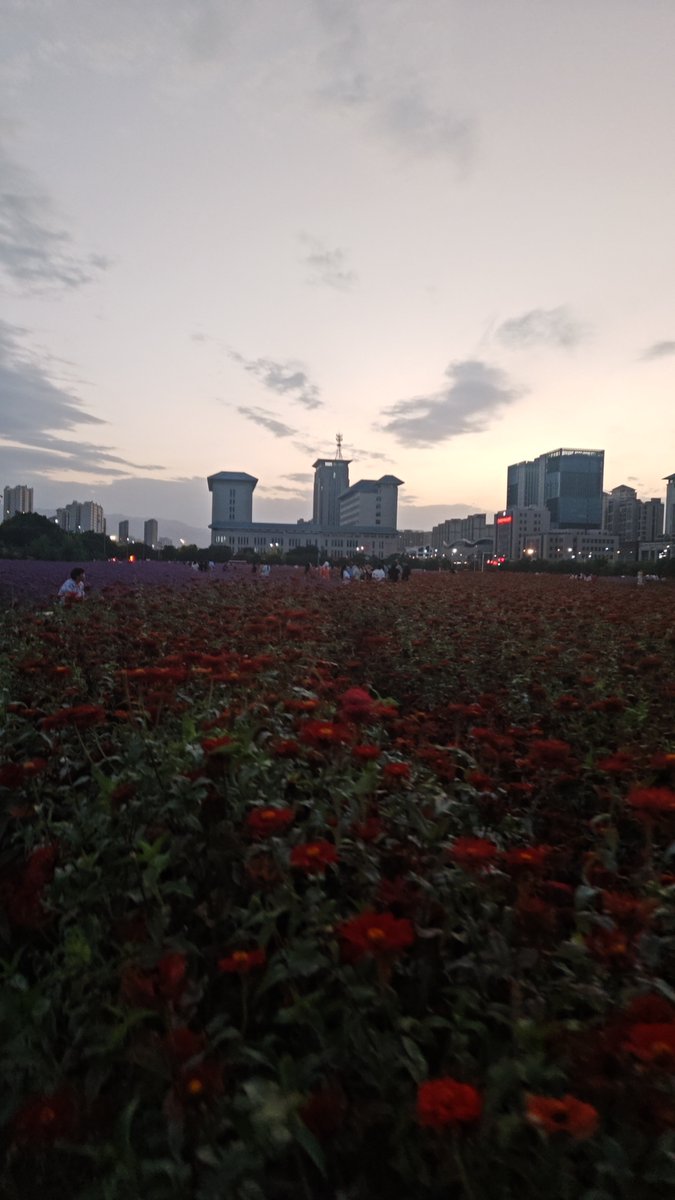 Bonnomet tweet media