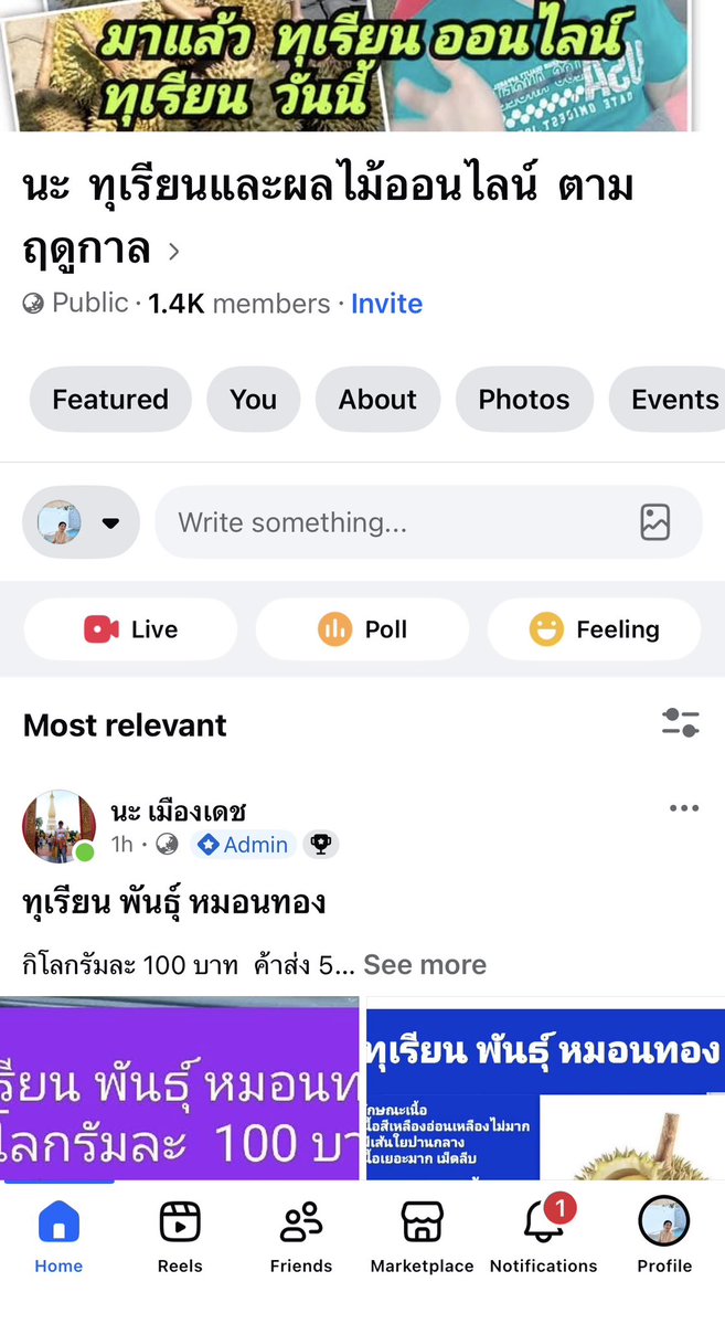 อยากกลับไทยไปกินทุเรียนนนน คุณนะกลับมาขายแล้วว ดีใจจ ทุเรียนที่อร่อยและถูกที่สุด 😭😭😭 อยากป้ายยาพี่มินอ่ะ อันนี้นะๆ เผื่อส่องๆละมาเห็น นี่สั่งทุกปีเลย ทักแชทเค้าไปได้เลย อย่าไปเม้นชื่อที่อยู่ในเม้นหล่ะ !