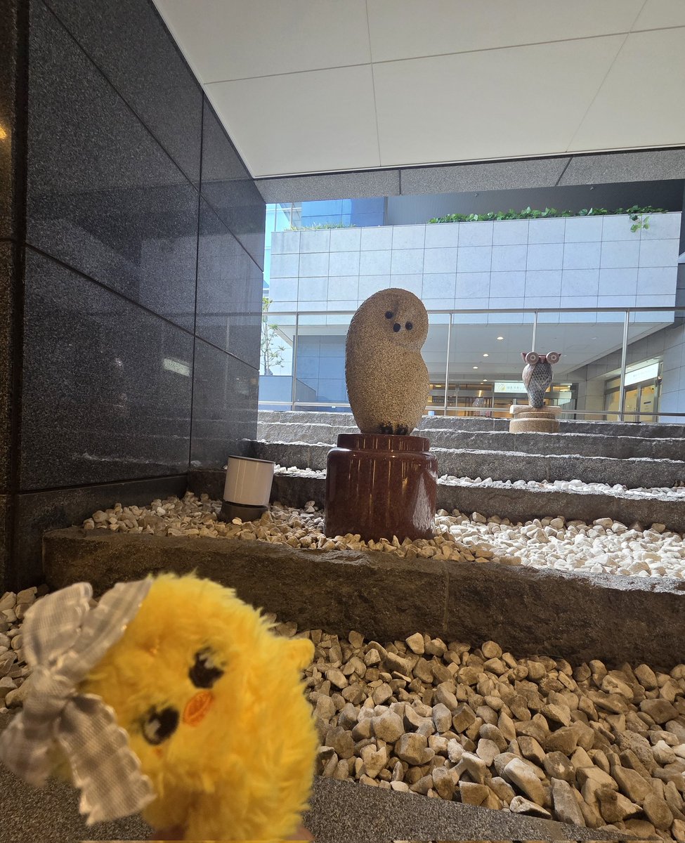 copo（こぽ）♡(•ө•)♡ tweet media