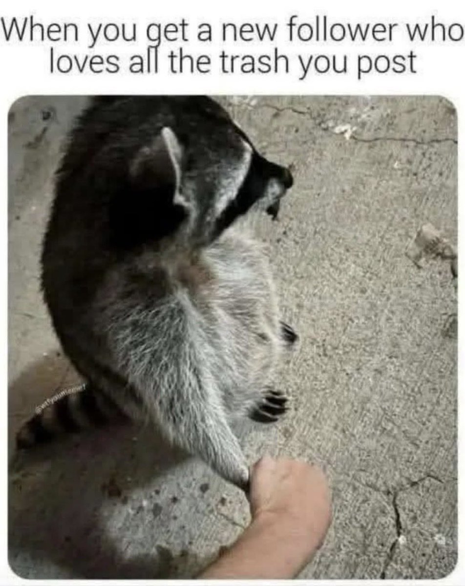 MAJESTIC tweet media