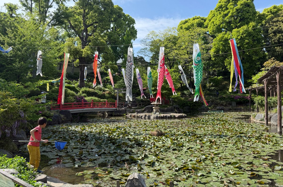 あるかり(alcali404) tweet media