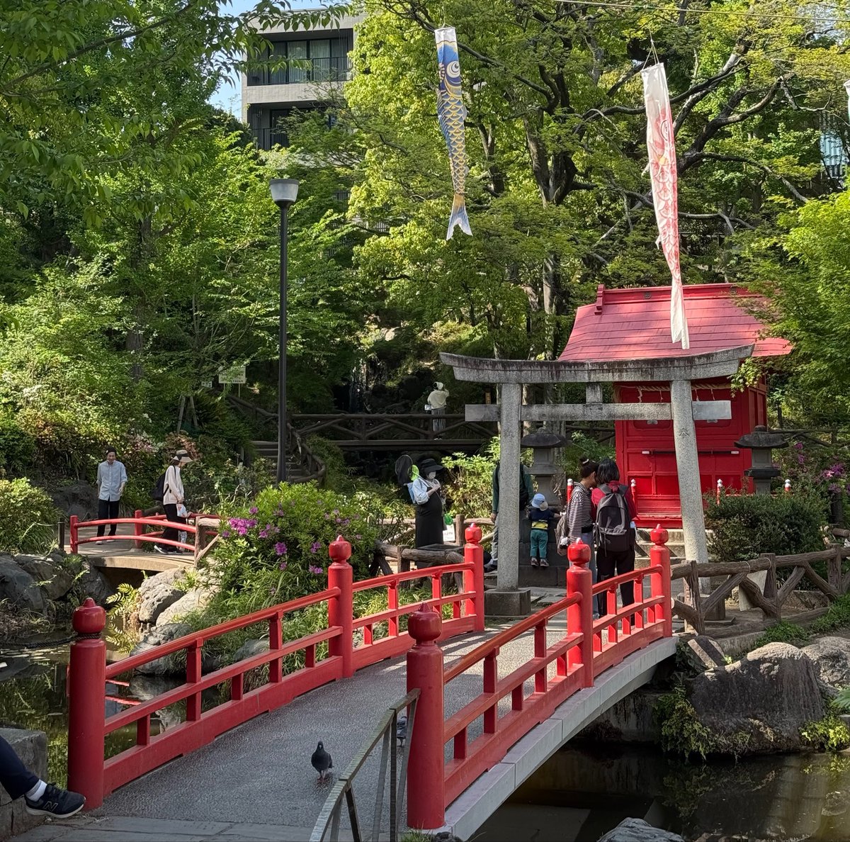 あるかり(alcali404) tweet media