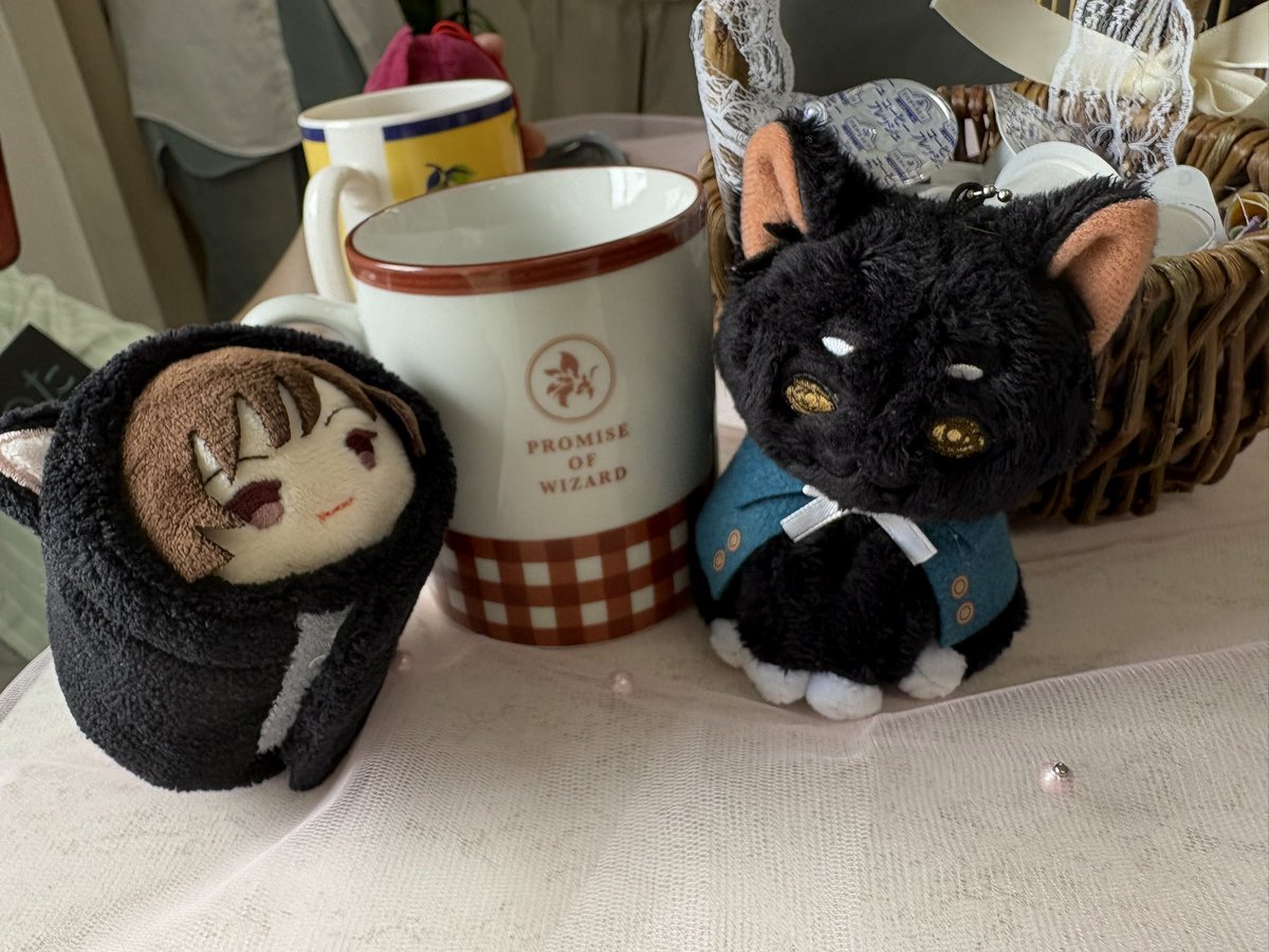 李姫(りき) tweet media