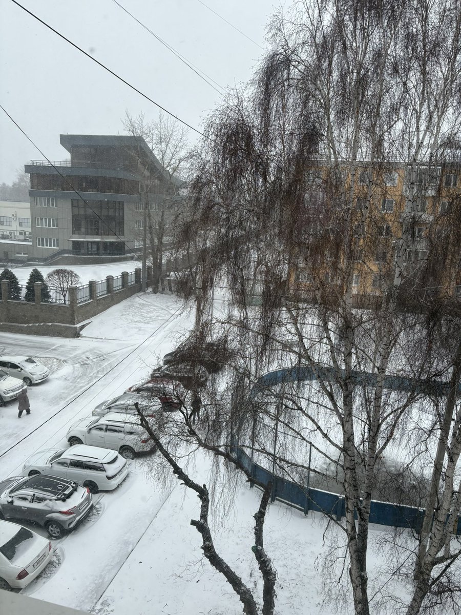 별다람쥐 🌼 i_nachos tweet media