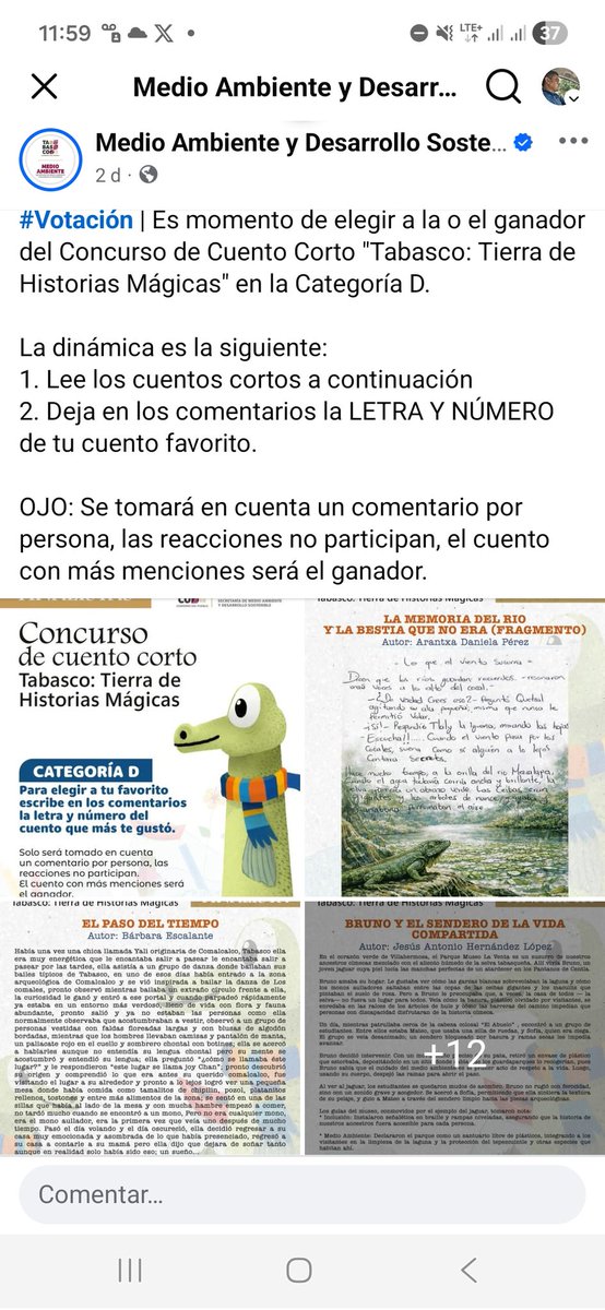 DanielChocoTab's tweet photo. @RicardoBSalinas Un concurso de literatura que se define por votos! Jajaja. Mi hija la única que arrastro el lápiz vs varios que la IA lo hizo por ellos. Vayan al siguiente link y escriban la palabra D02 para apoyarla a ella! 
https://t.co/rBqDRZDl5t https://t.co/tkmQOvCDHl