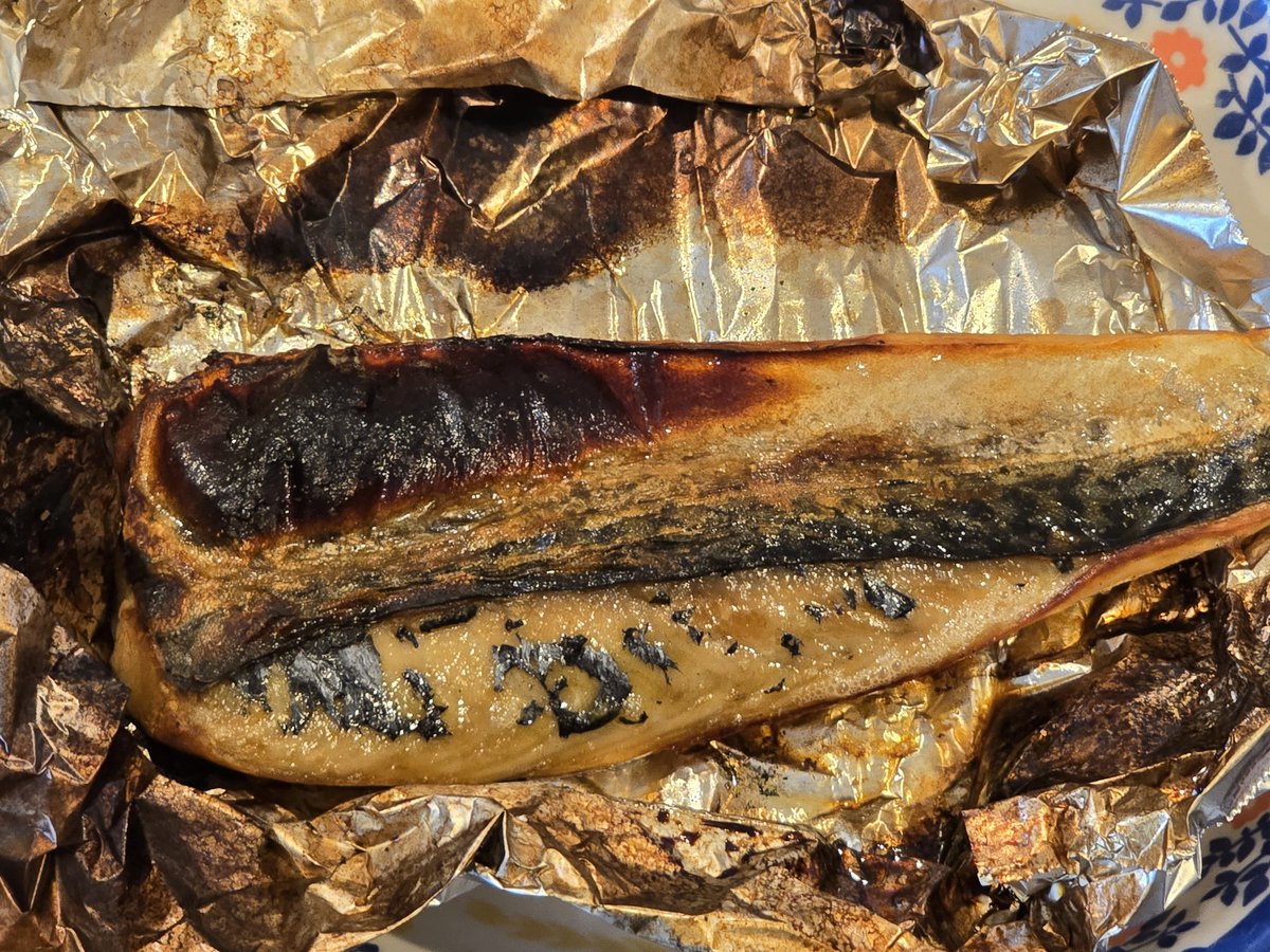 オオトリ🦉🦉 tweet media