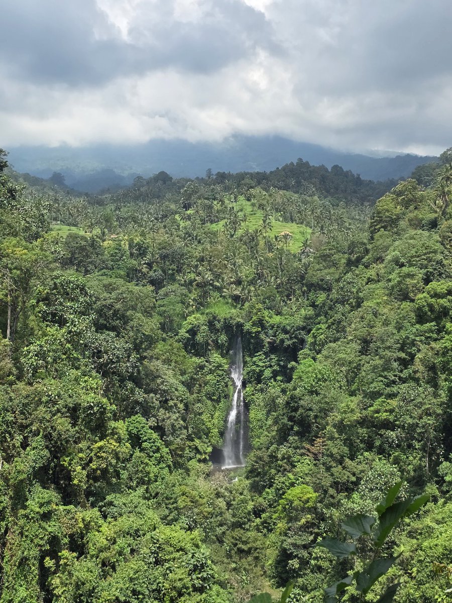 miroslavi79's tweet image. Waterfalls in Bali
#Waterfall #indonesia #bali