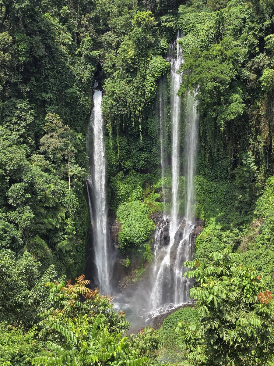 miroslavi79's tweet image. Waterfalls in Bali
#Waterfall #indonesia #bali