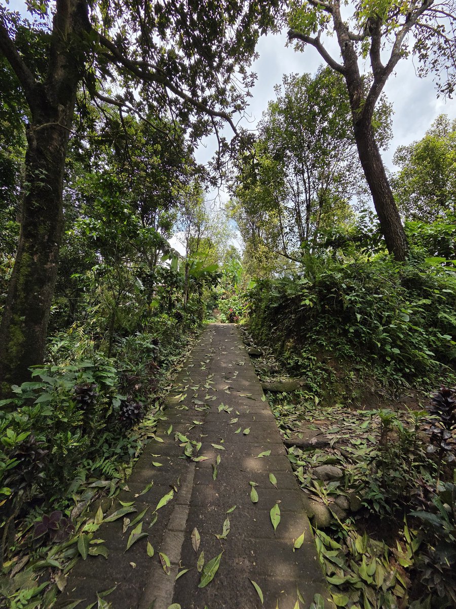 miroslavi79's tweet image. Waterfalls in Bali
#Waterfall #indonesia #bali