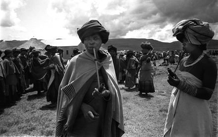 History ZAR tweet media