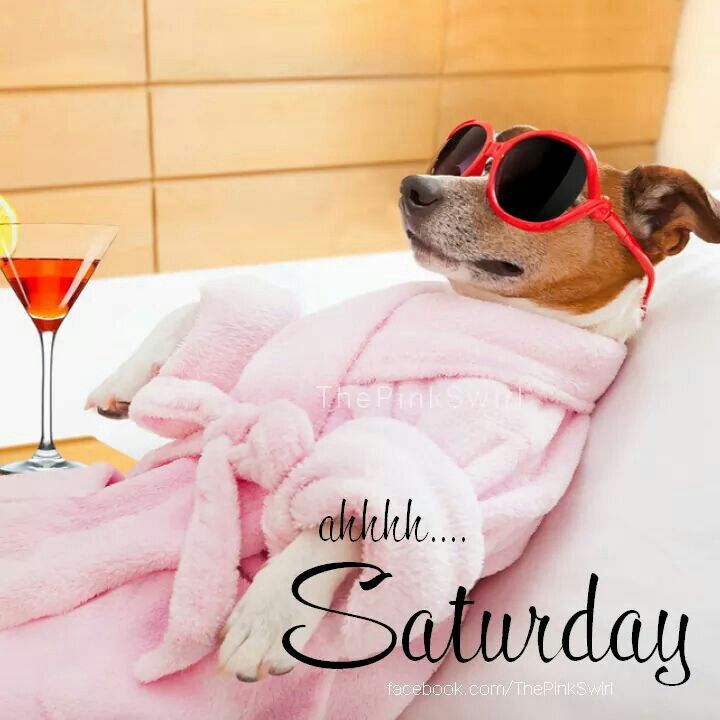 Peter Obi's Business Woman 😎 tweet media