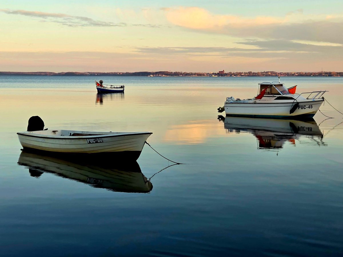 Waldemar🇵🇱🇳🇱🏴‍☠️ tweet media