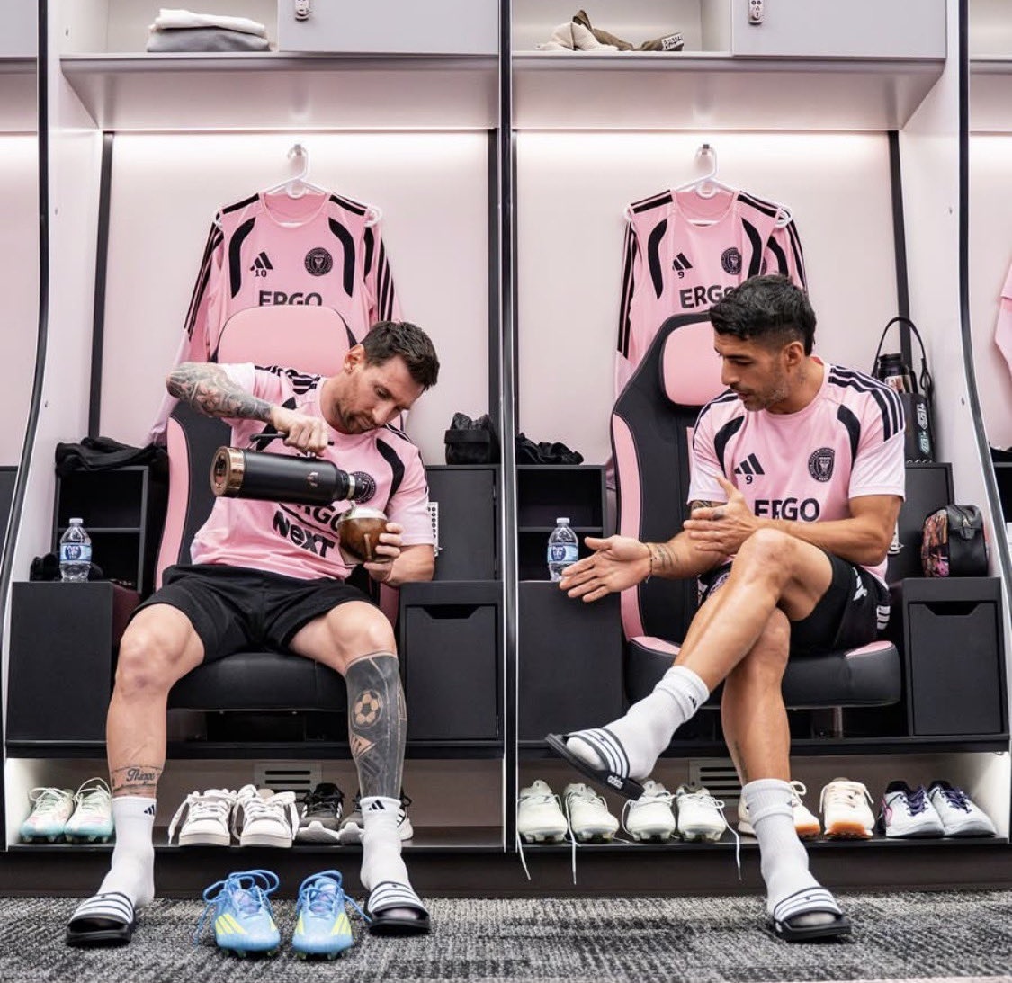 White Queen 🦣 tweet media