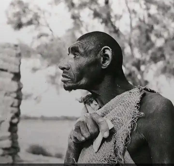 Big Man 🇯🇵🇻🇳🇻🇦 tweet media