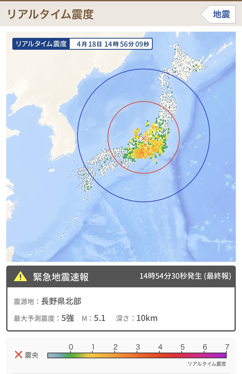 ヘロン tweet media