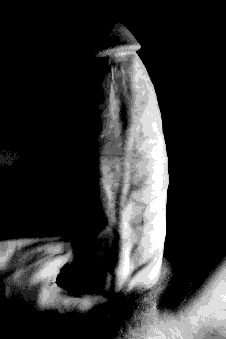 ⁶⁶⁶ 一緒 𝐃𝐀𝐊𝐎. tweet media