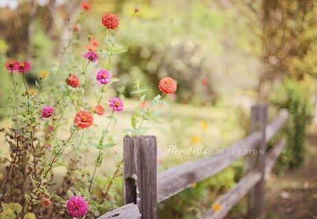 َََمـ҉حـ҉مـ҉د مـ҉يـ҉د҉ﯛ̲ tweet media