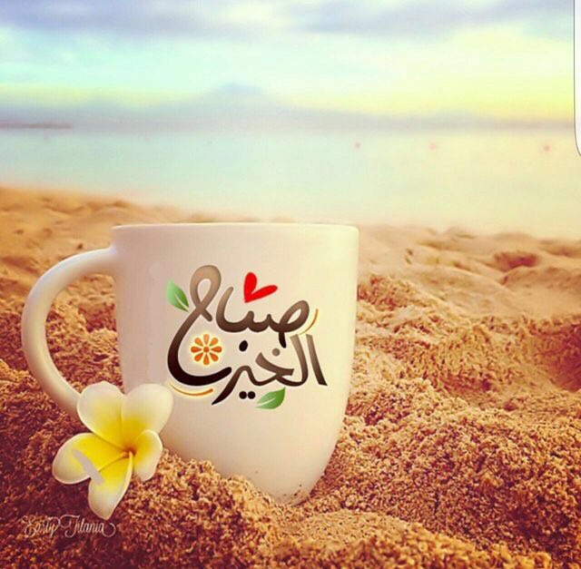 مۣۗہحۣۗہمۣۗہدُ مۣۗہيۣۗہدُوۣ tweet media