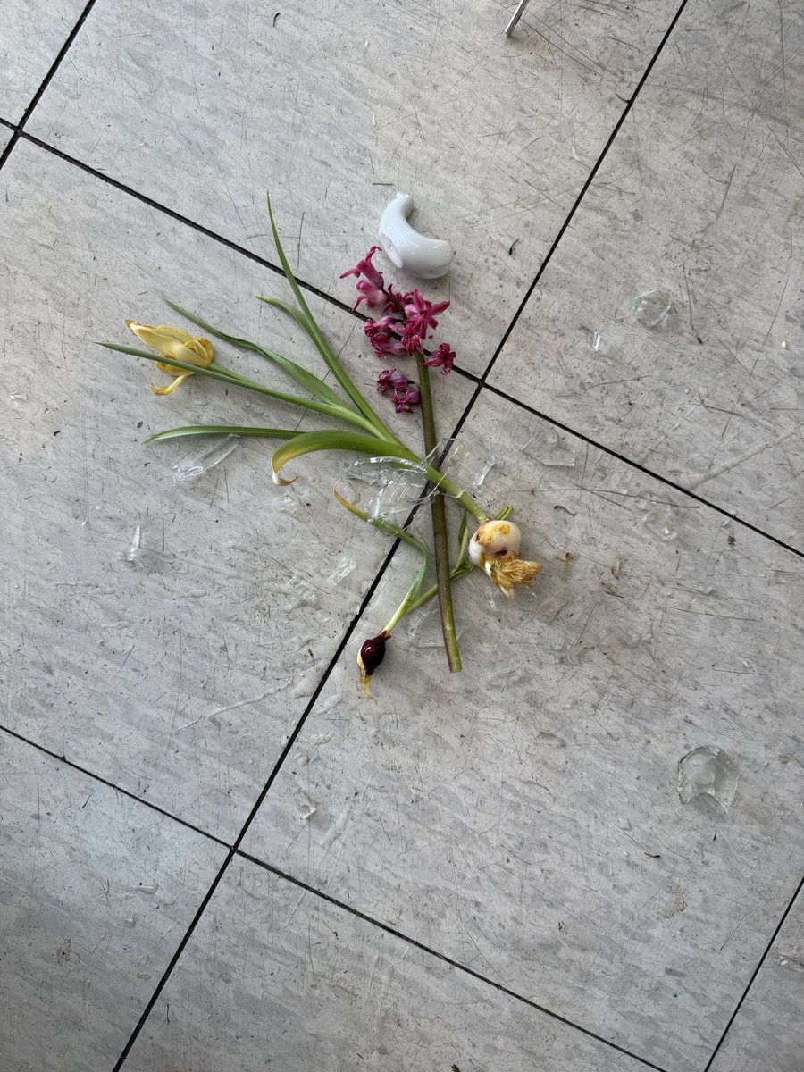 Ｙショップニシ縁川商店のユッキィ/大町市 tweet media