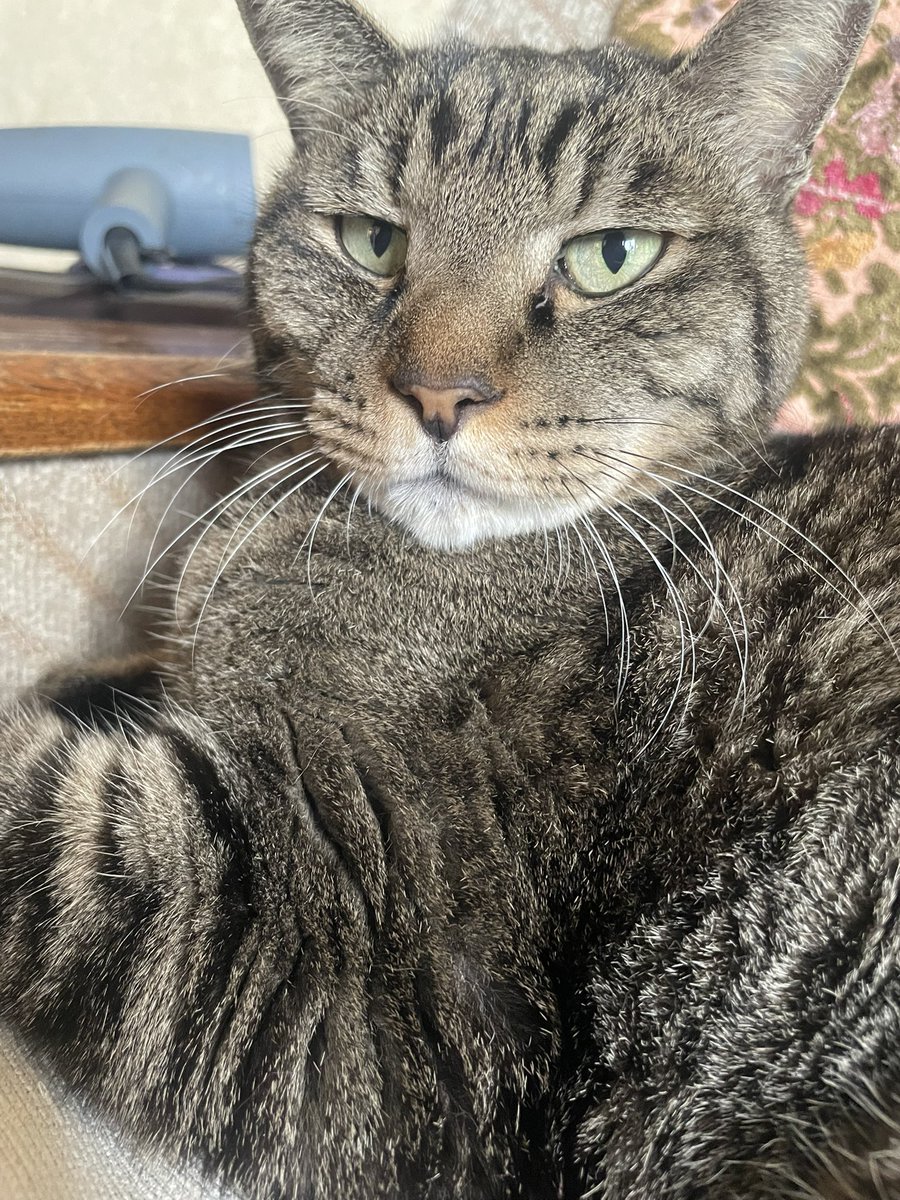 ８３５ tweet media