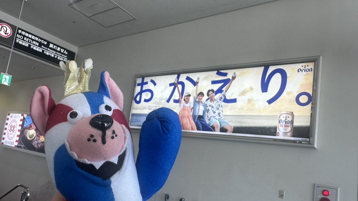 ちゃんこ👑団結の力🏀 tweet media