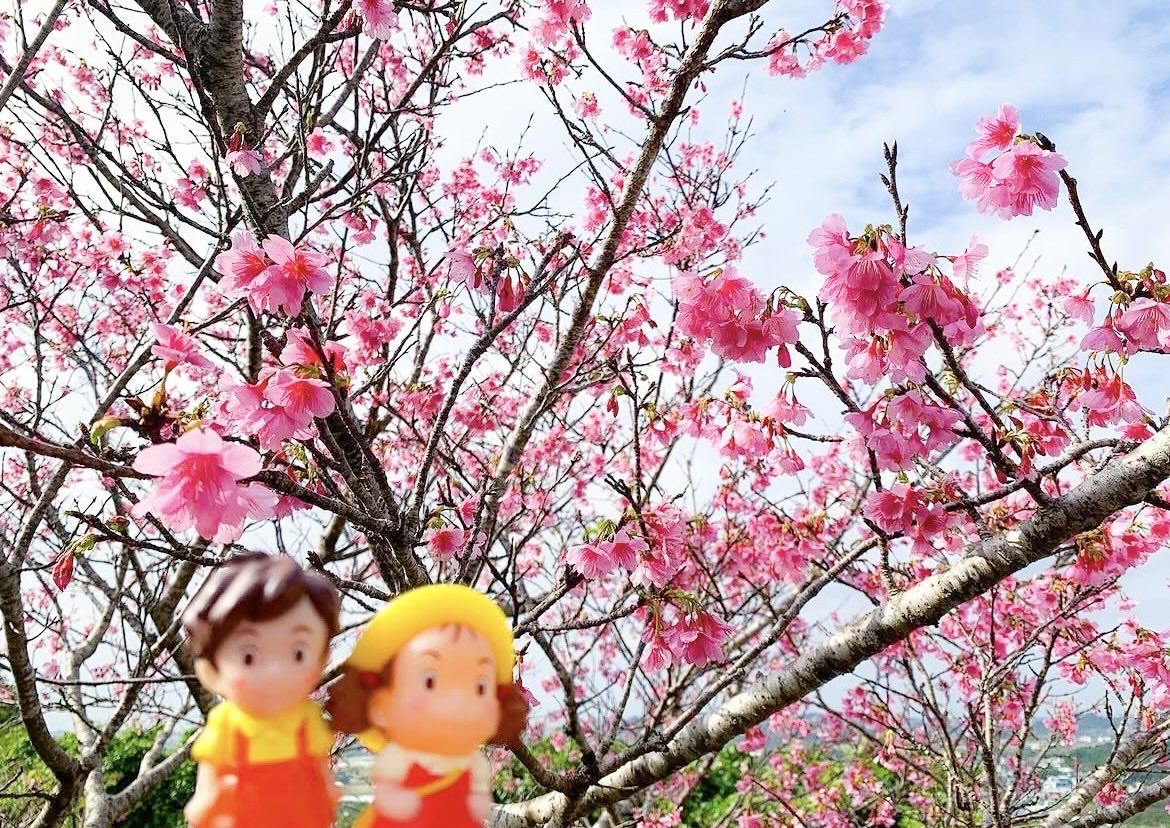 りぱこ🍣🔥 tweet media