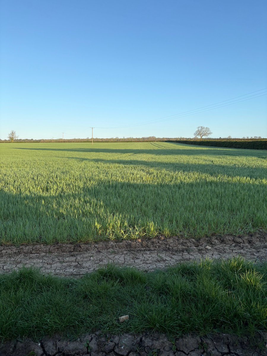 angyamgy44's tweet image. Morning tweetville welcome to 🌞Saturday, sat in garden with ☕️ admiring the view enjoying the peace #country living . Have  a good safe one out there keep 🙂