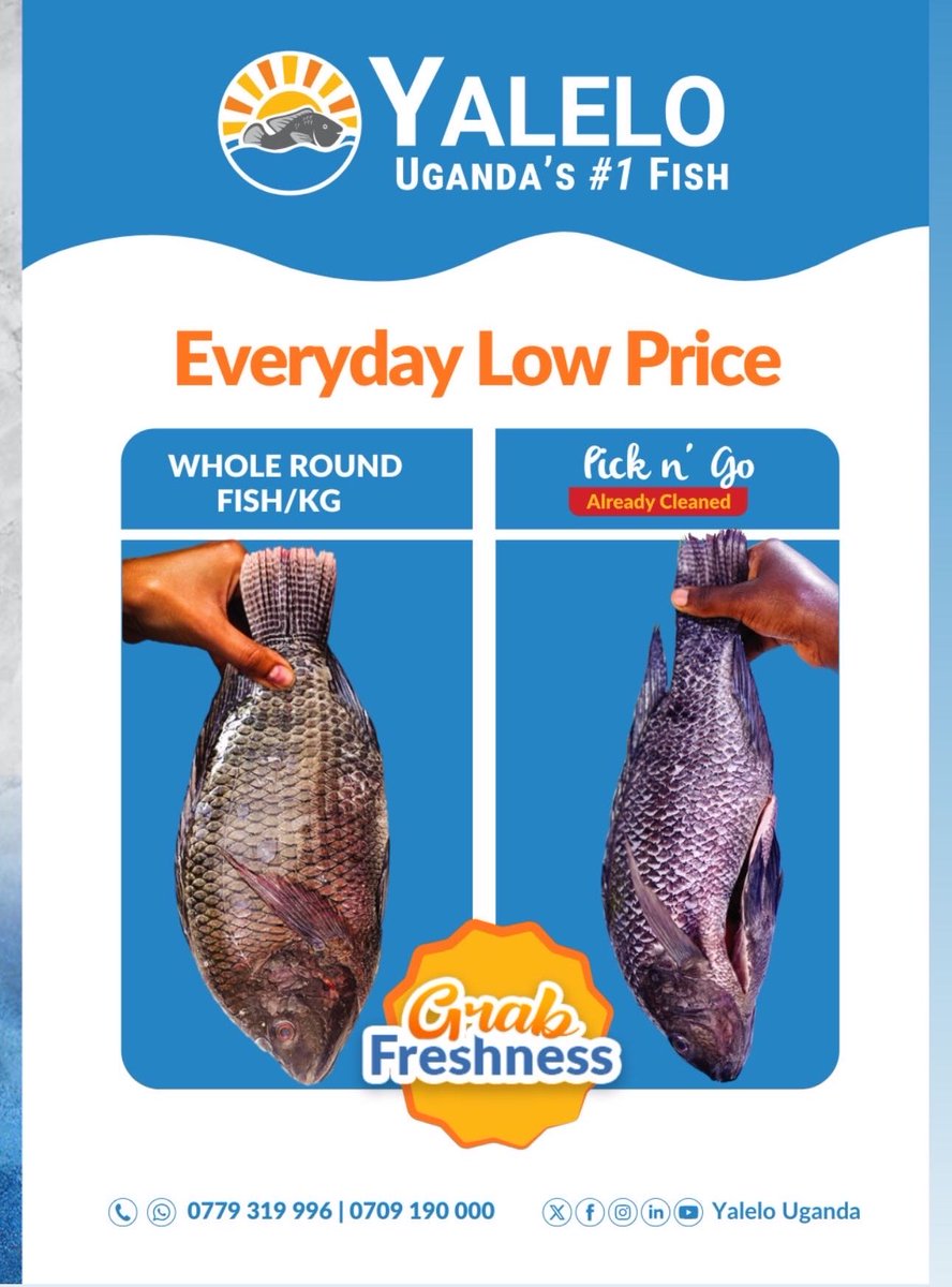 Yalelo Uganda 🐟 tweet media