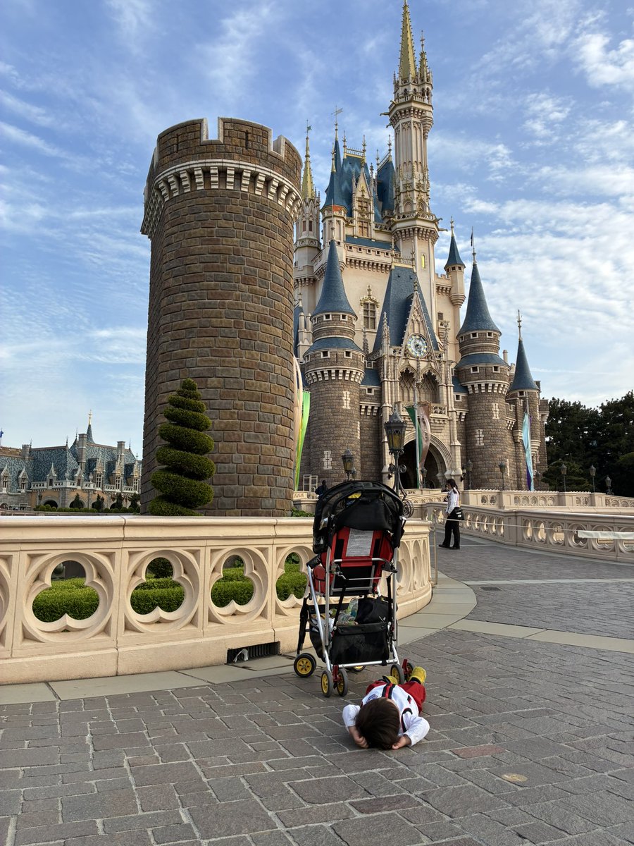 一歳　子連れ　ディズニーランド　現実