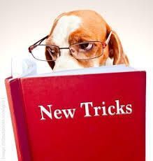 DTNEtiquette's tweet image. I am living proof that yes, you CAN teach an old dog new tricks...so there! ~ #DTN #StillLearning #StillGrowing #DontCountMeOut