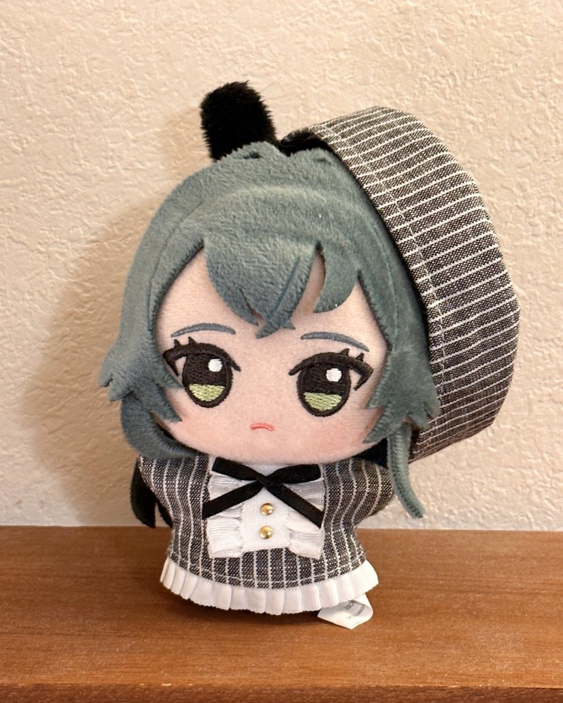 着用写真です✨