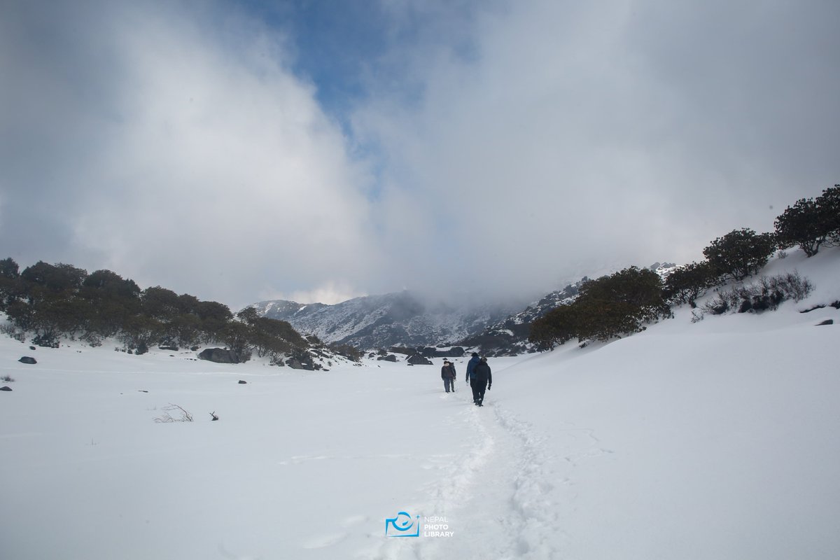 nepalphotolib's tweet image. सेताम्मे हिउँले ढाकेको हिन्दु र बौद्ध धर्मावलम्बीहरूको आस्था र विश्वासको केन्द्र भैरवकुण्ड।
तस्बिर : बिजेन अमात्य/ नेपाल फोटो लाइब्रेरी
#nepalphotolibrary #NewsUpdate #NPL #bhairabkunda