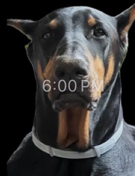 coke apathy tweet media